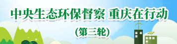 中央生态环保督察?重庆在行动